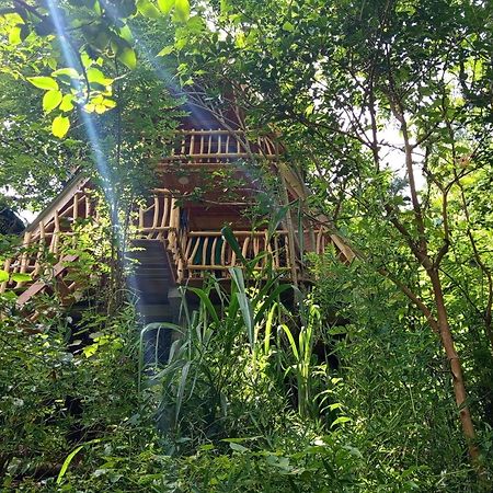 Eco Village Ella Exteriör bild
