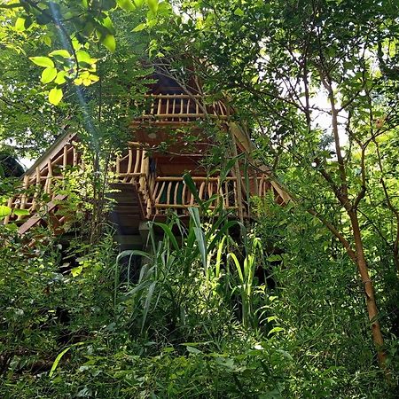 Eco Village Ella Exteriör bild