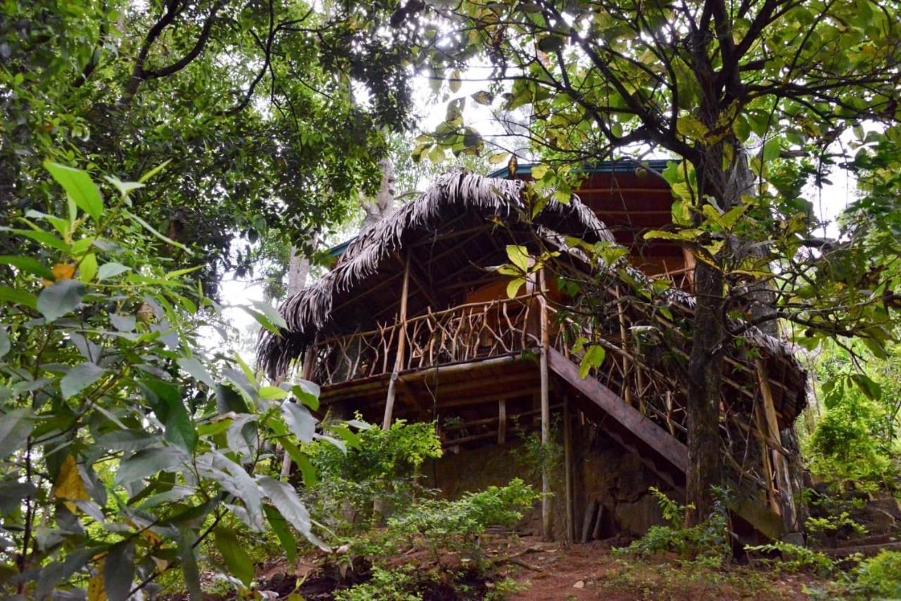 Eco Village Ella Exteriör bild