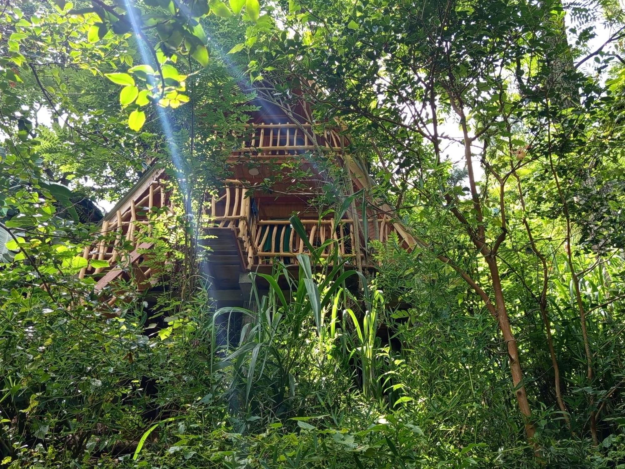 Eco Village Ella Exteriör bild