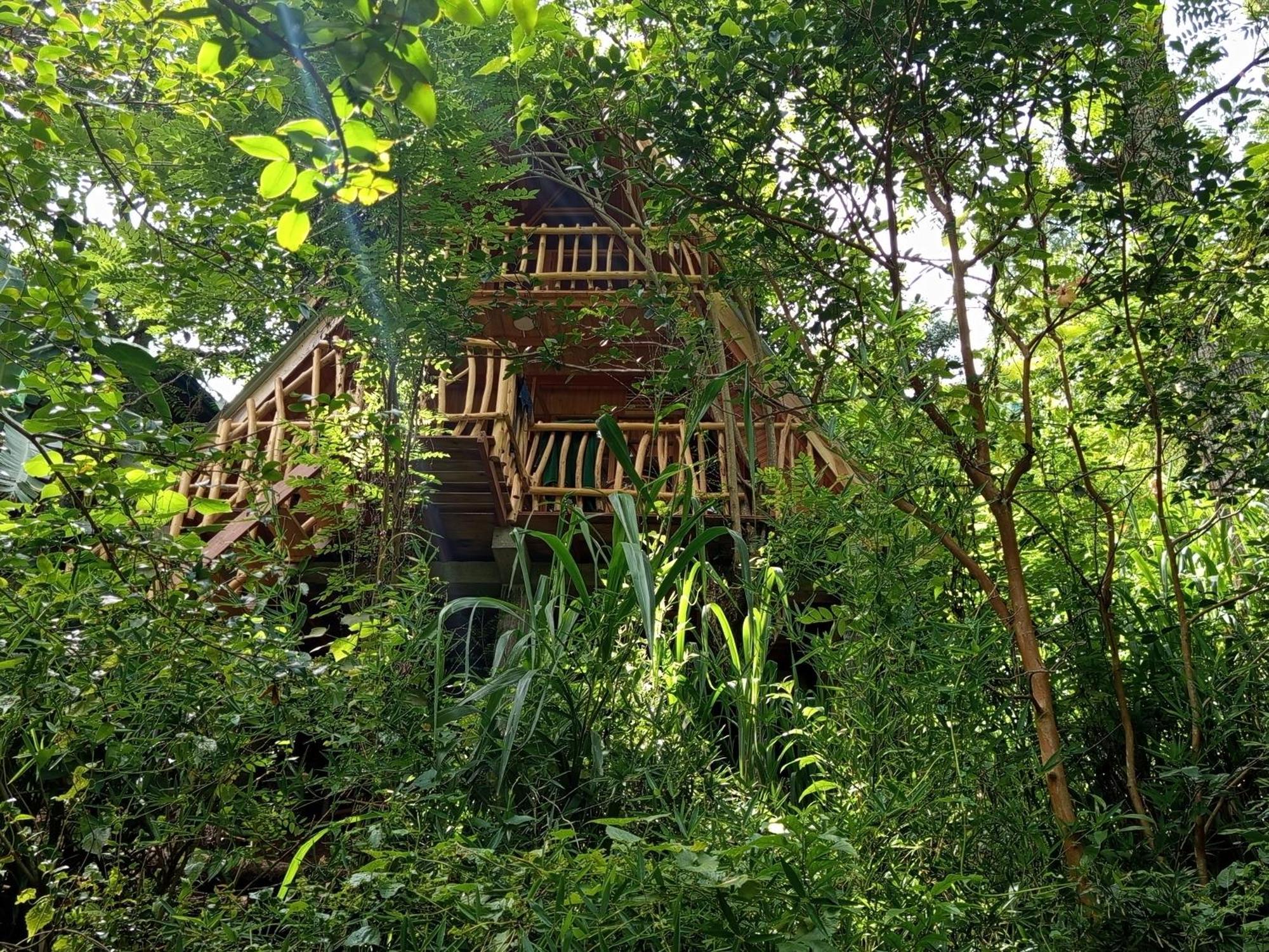 Eco Village Ella Exteriör bild